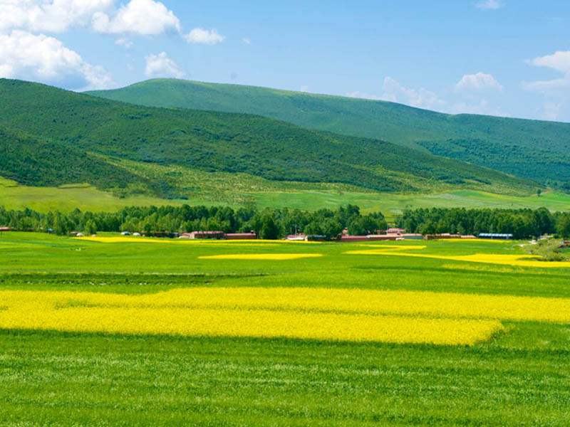 高精度土壤養分檢測儀多少錢一臺